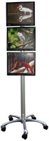LCD monitor bracket for pole cart or wall mount