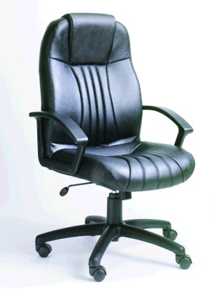 Leather Ergonomic office chair